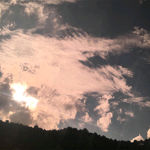 国产学生妹在线
